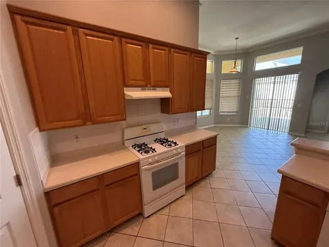 3115 Red Lion Drive Valrico FL 33596