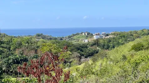 413 Km. 5.9 Int. Bo Ensenada Solar G Carretera Rincon PR 00677