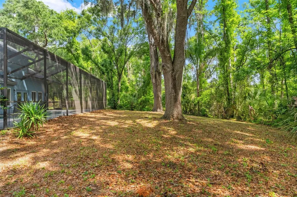 16105 Cadbury Court Tampa FL 33647