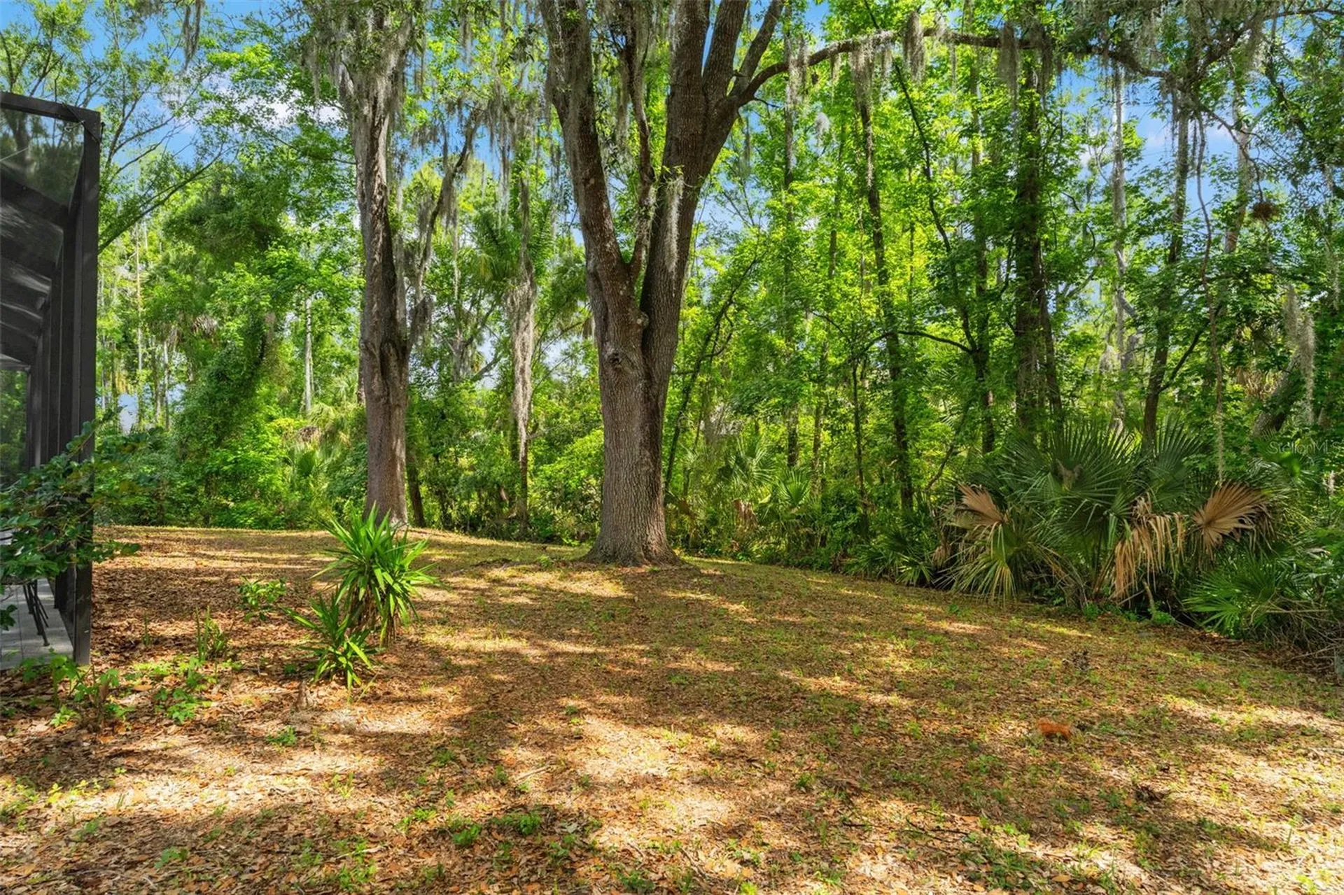 16105 Cadbury Court Tampa FL 33647