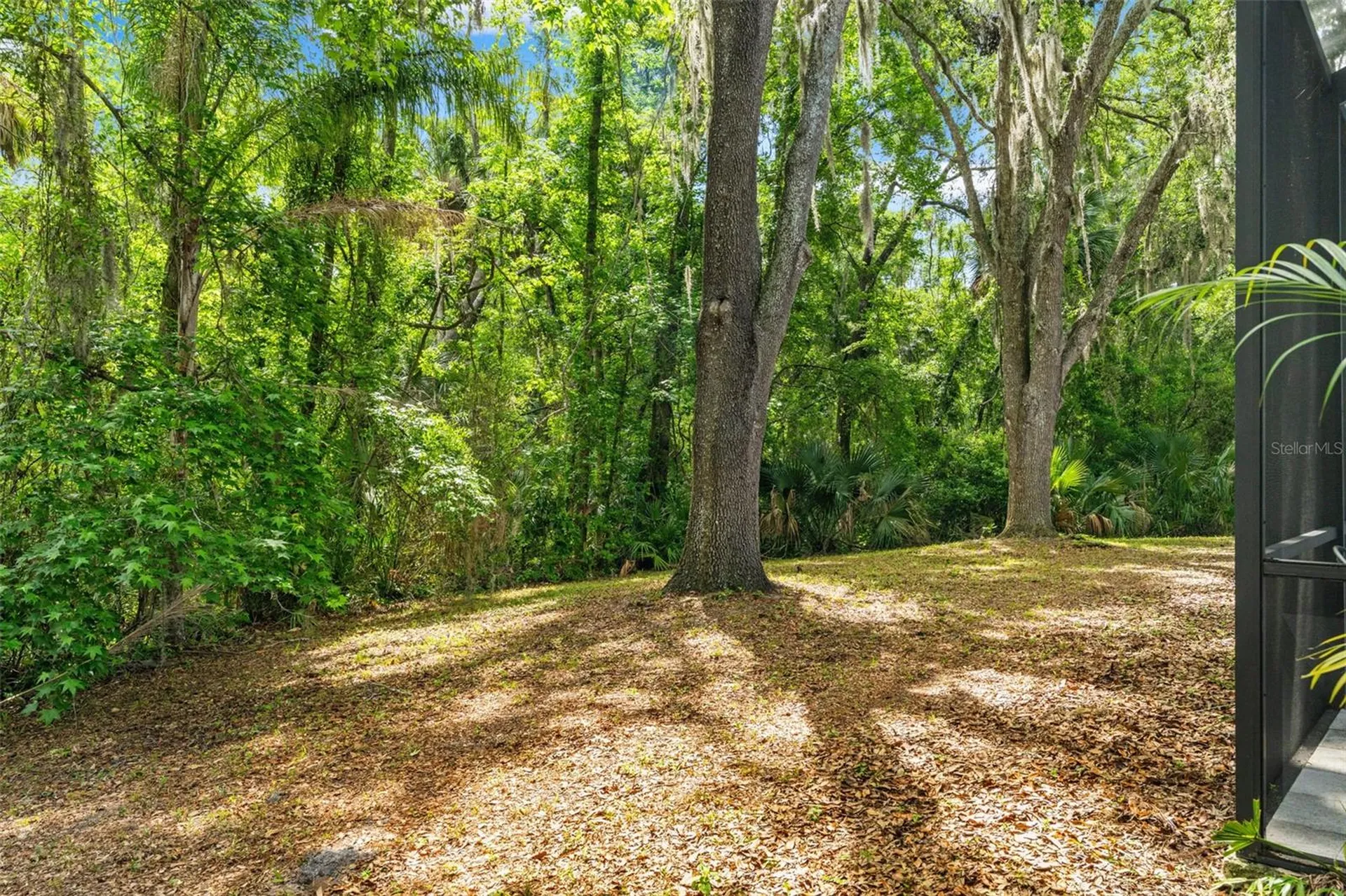 16105 Cadbury Court Tampa FL 33647
