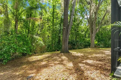 16105 Cadbury Court Tampa FL 33647