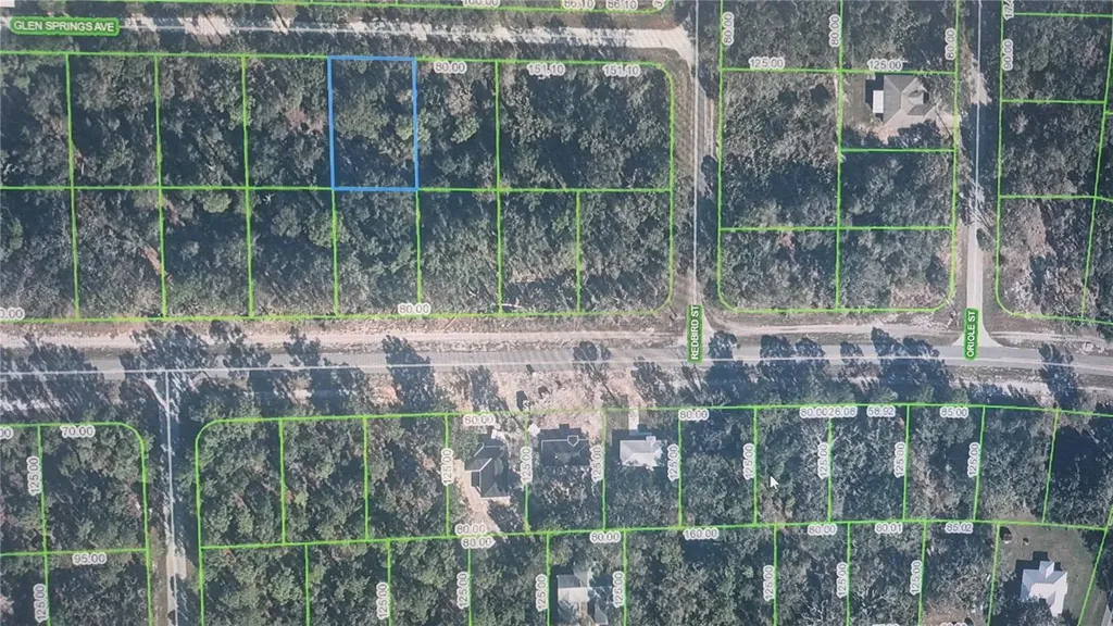 3216 Glen Springs Avenue Lake Placid FL 33852