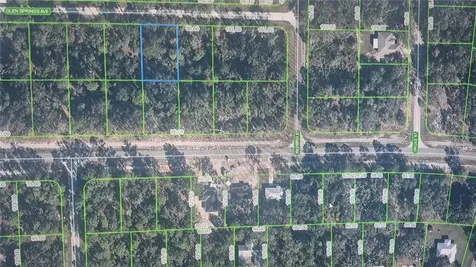 3216 Glen Springs Avenue Lake Placid FL 33852