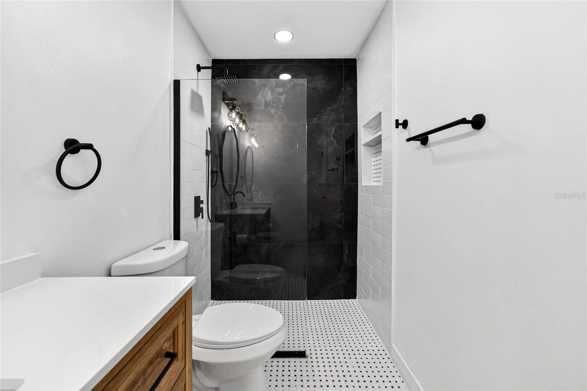 14841 Oak Vine Drive Lutz FL 33559