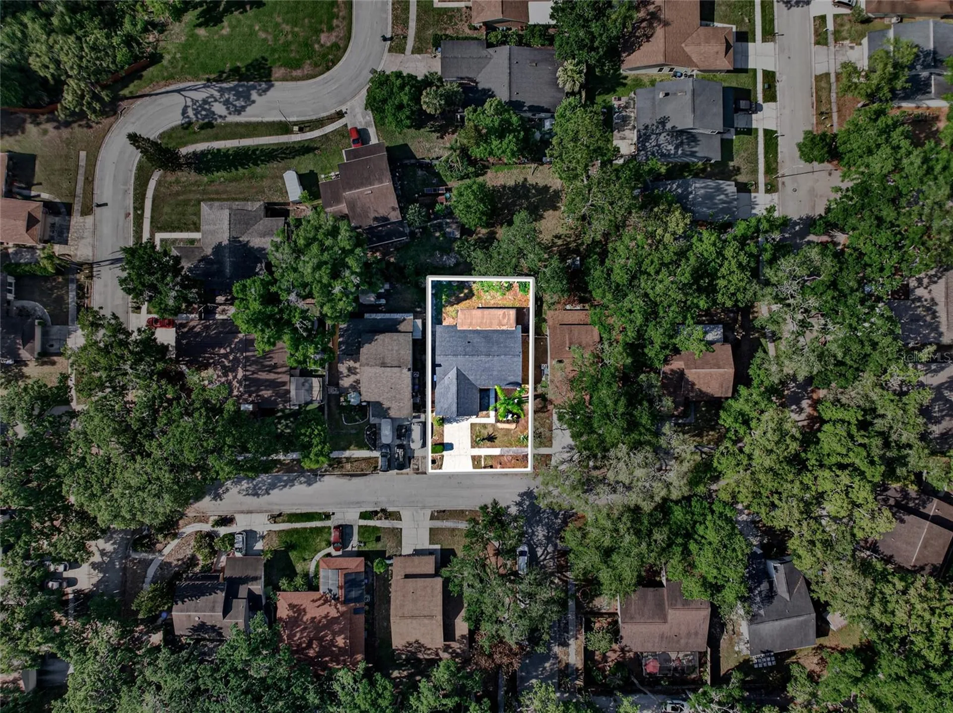 14841 Oak Vine Drive Lutz FL 33559