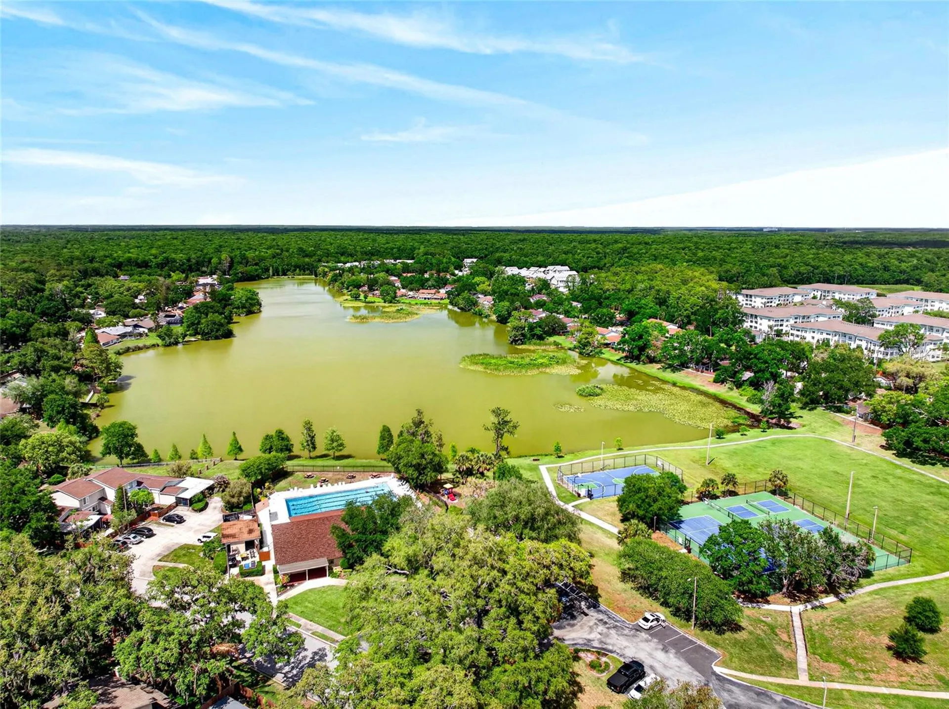 14841 Oak Vine Drive Lutz FL 33559