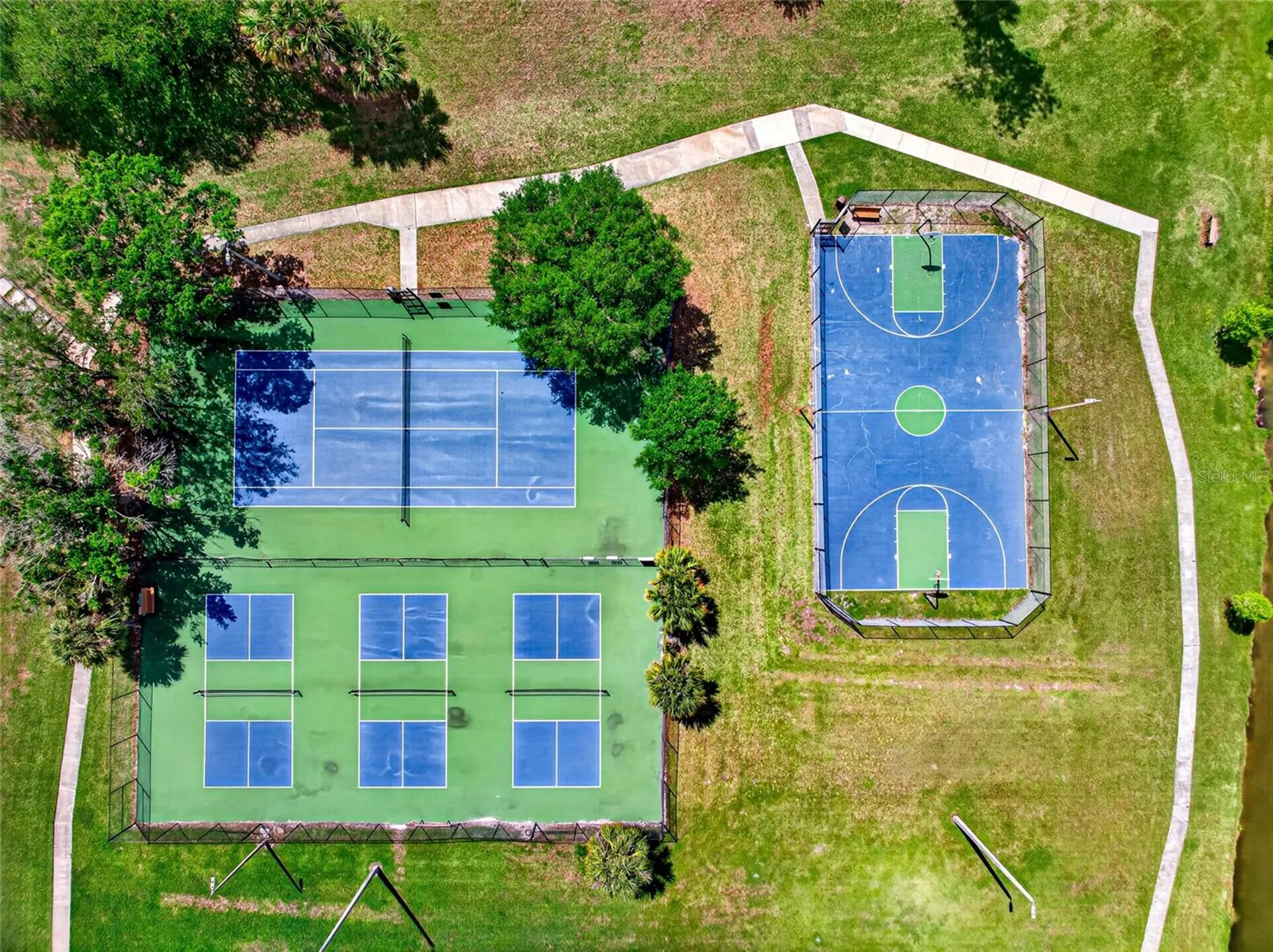 14841 Oak Vine Drive Lutz FL 33559