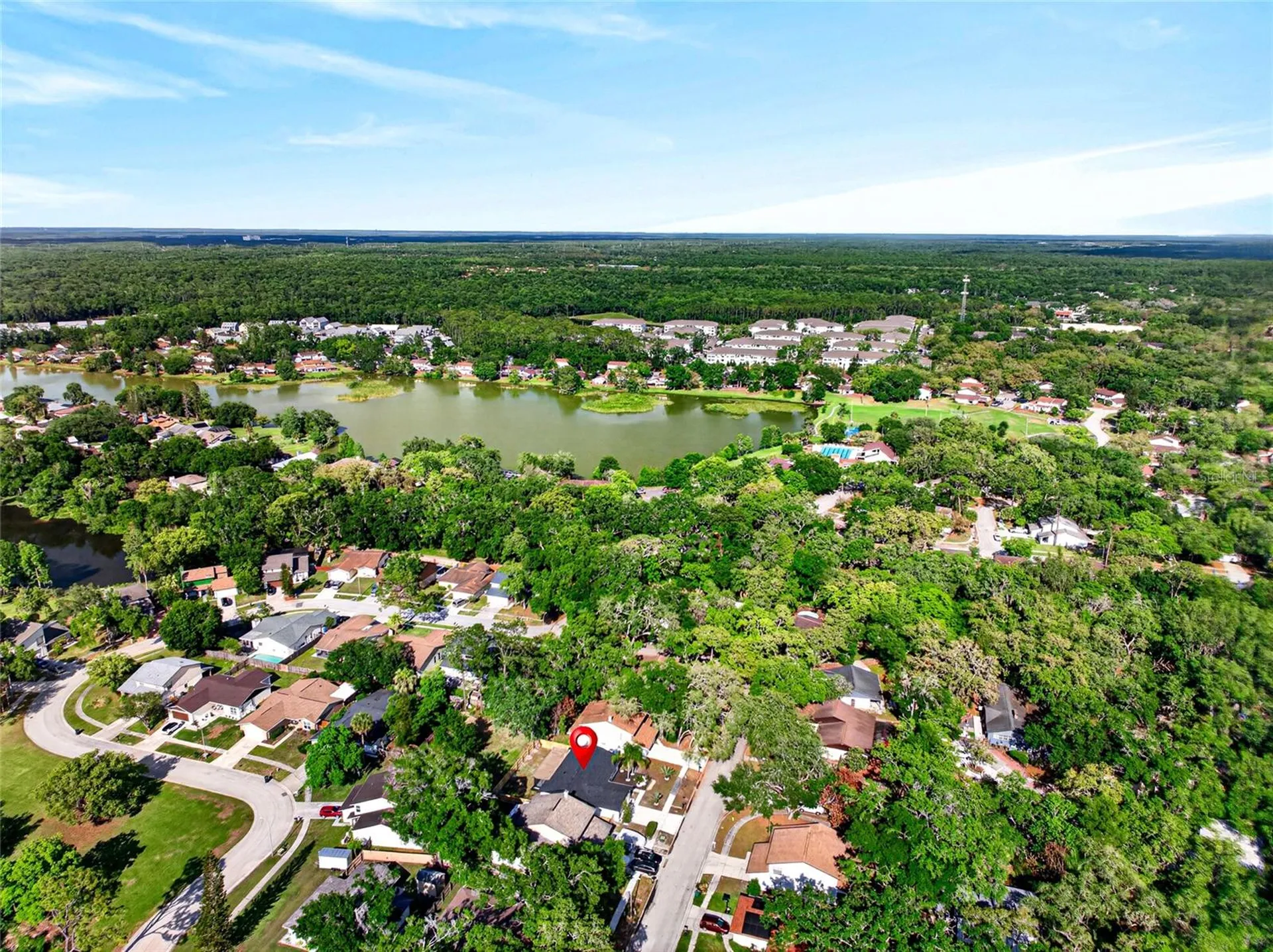 14841 Oak Vine Drive Lutz FL 33559