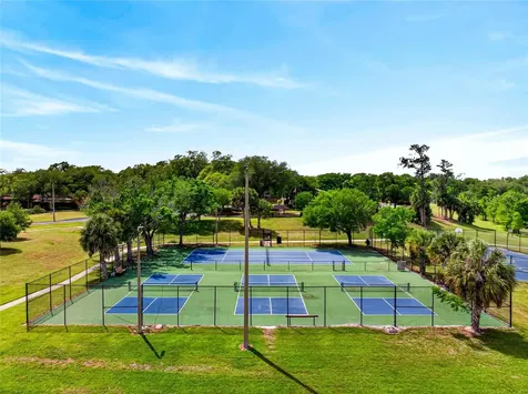 14841 Oak Vine Drive Lutz FL 33559