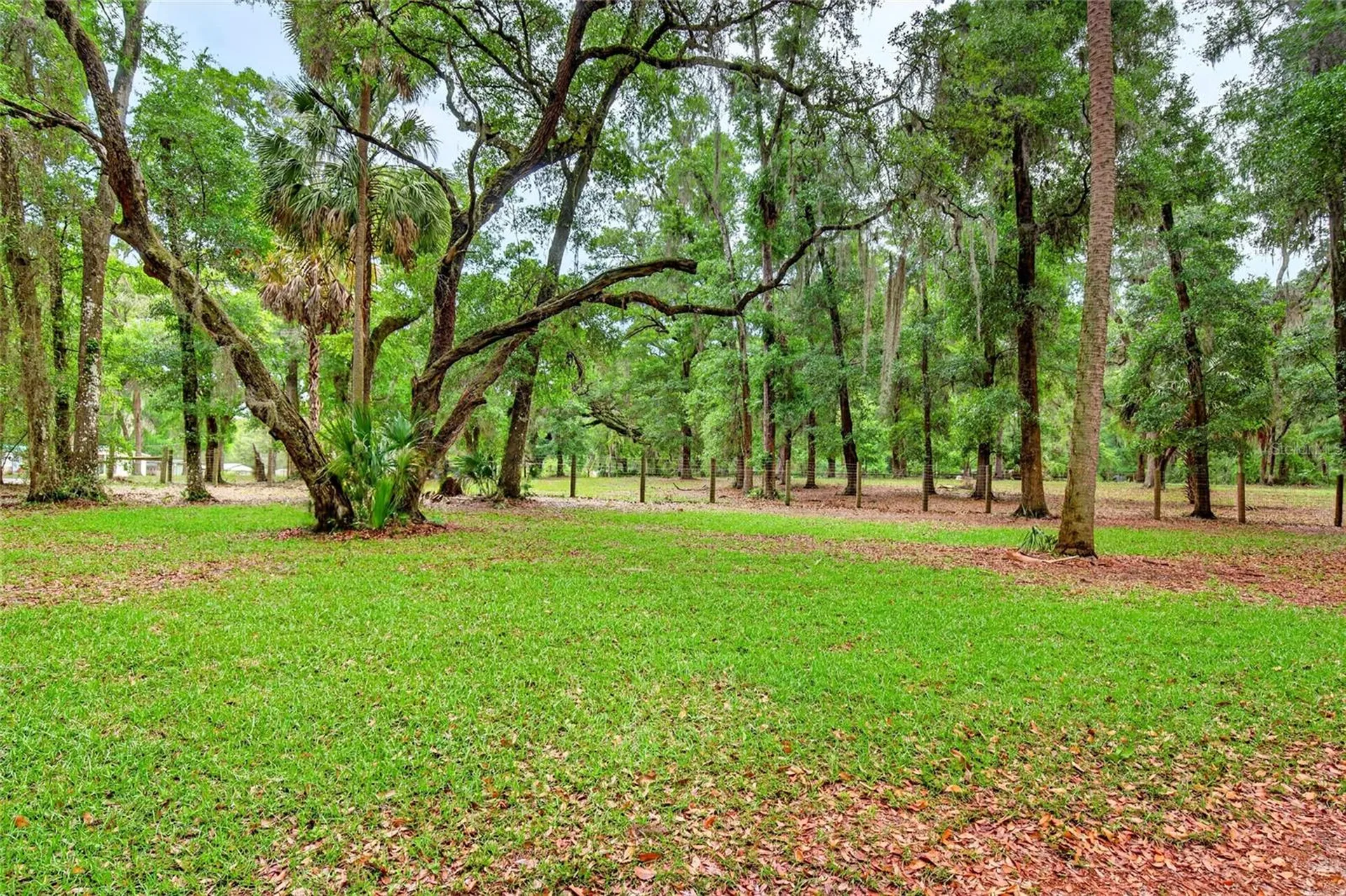 14271 NE 47th Avenue Anthony FL 32617