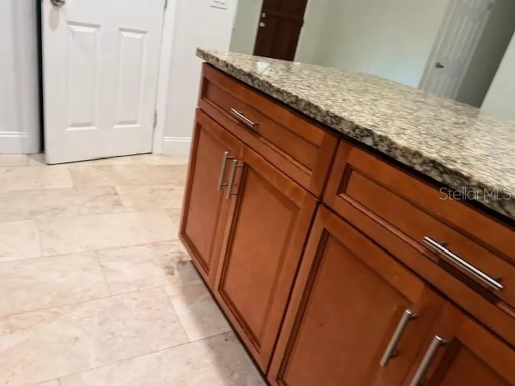 3054 Bluebrook Drive Winter Park FL 32792