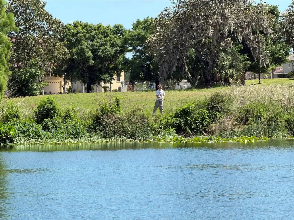 12322 Stonelake Ranch Boulevard Thonotosassa FL 33592