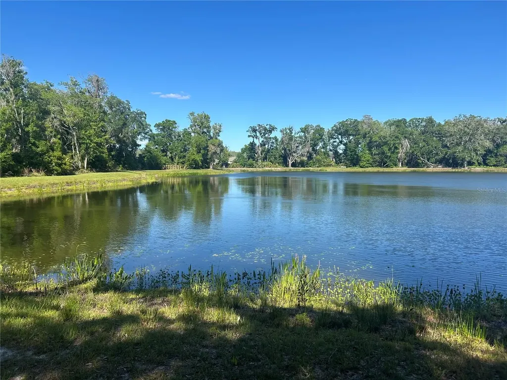 10495 Gliding Eagle Way Land O Lakes FL 34638