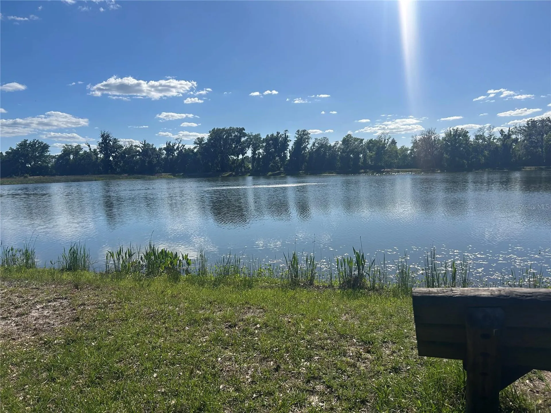 10495 Gliding Eagle Way Land O Lakes FL 34638