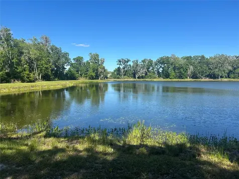 10495 Gliding Eagle Way Land O Lakes FL 34638