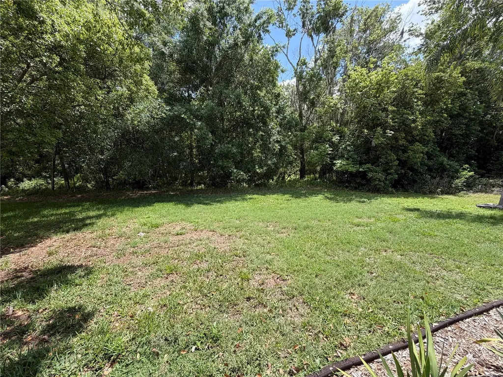 1616 Kinsmere Drive Trinity FL 34655