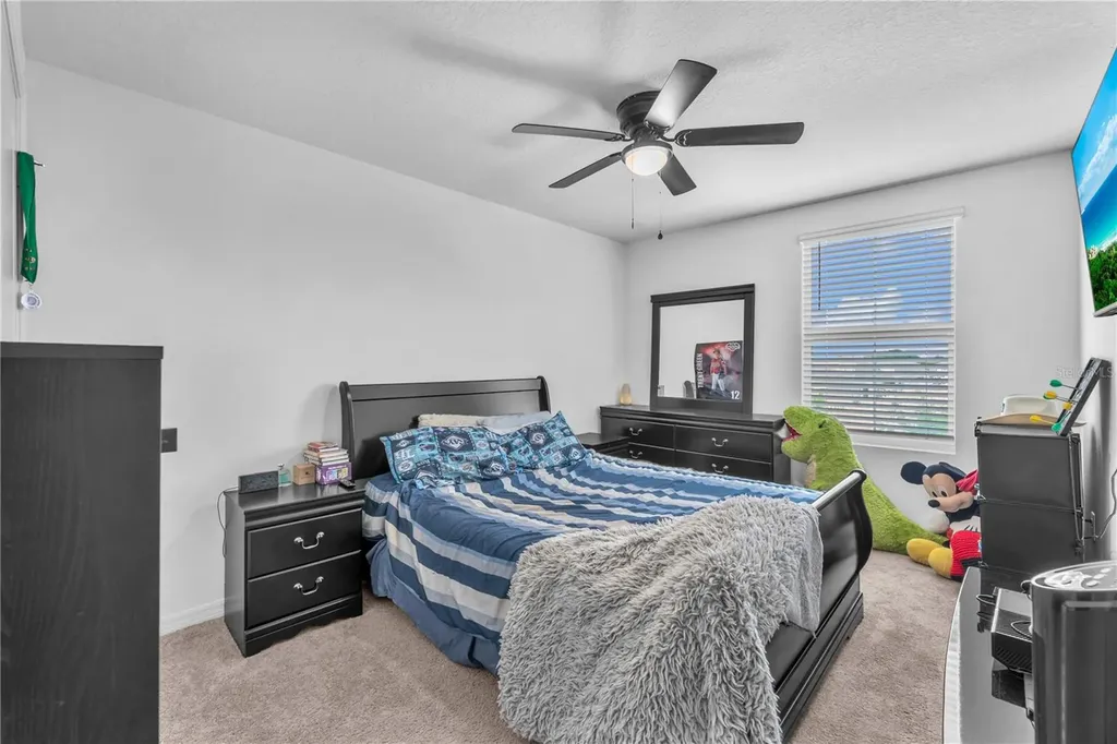 12169 Downy Birch Drive Riverview FL 33569