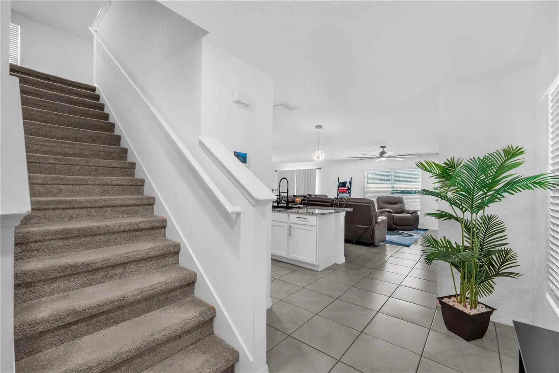 12169 Downy Birch Drive Riverview FL 33569