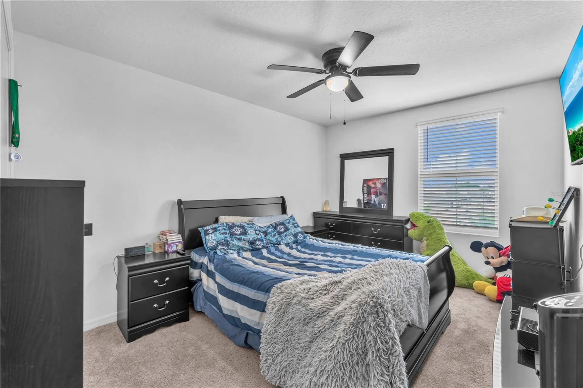 12169 Downy Birch Drive Riverview FL 33569