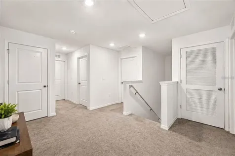 12169 Downy Birch Drive Riverview FL 33569