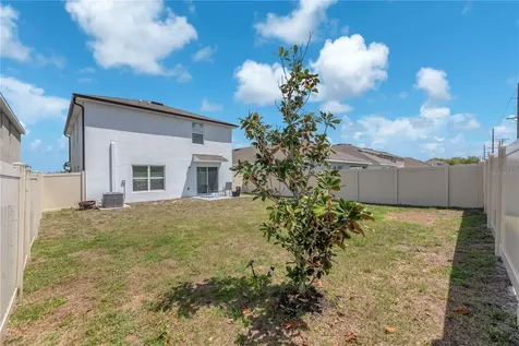 12169 Downy Birch Drive Riverview FL 33569