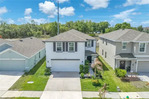 12169 Downy Birch Drive Riverview FL 33569