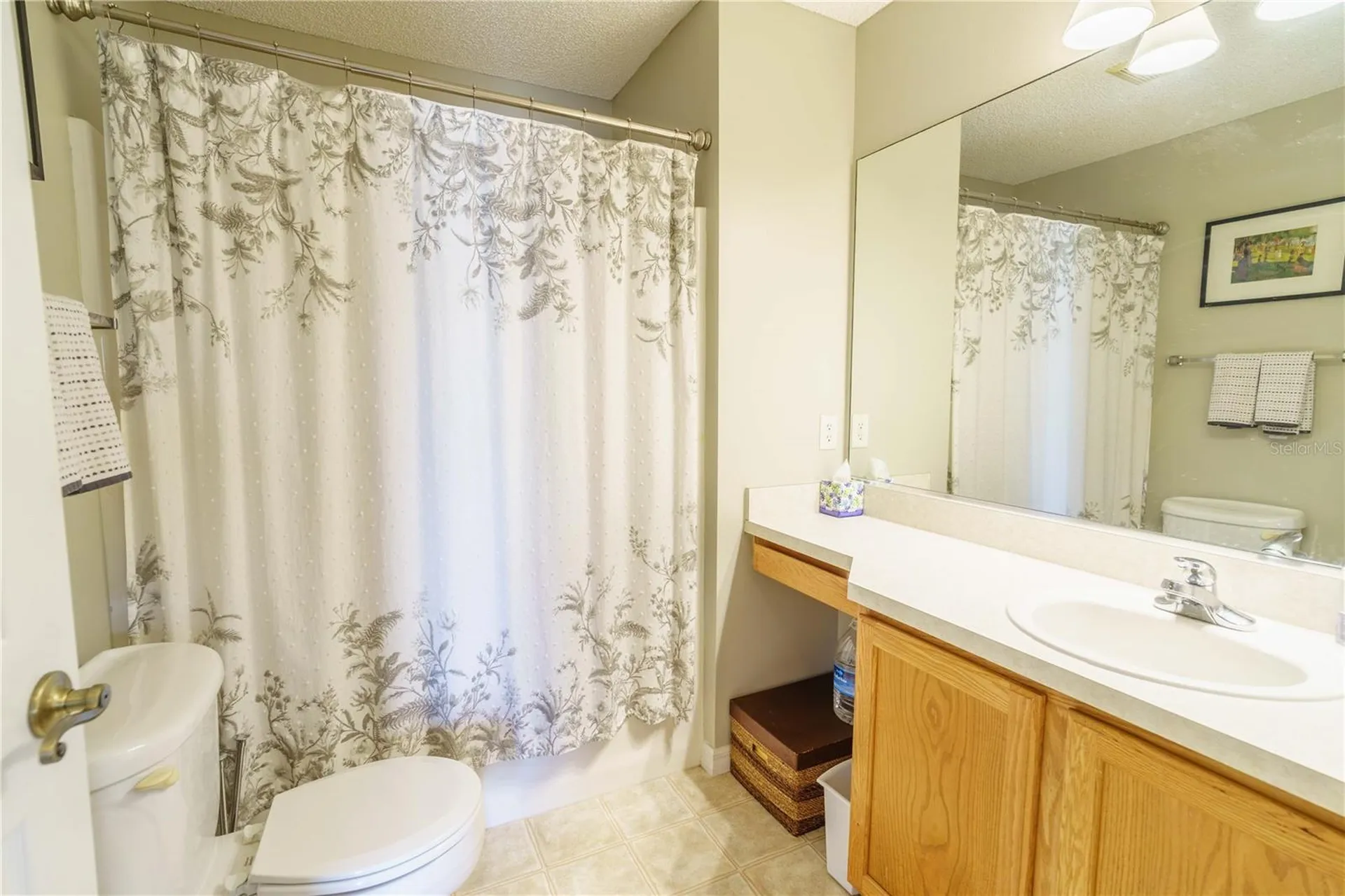 16980 SE 96th Chapelwood Circle The Villages FL 32162