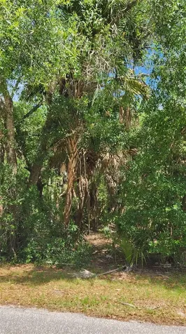 23190 Glen Avenue Punta Gorda FL 33980