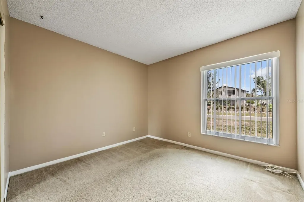 3916 Casaba Loop Valrico FL 33596