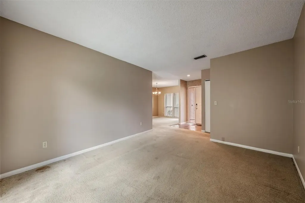 3916 Casaba Loop Valrico FL 33596