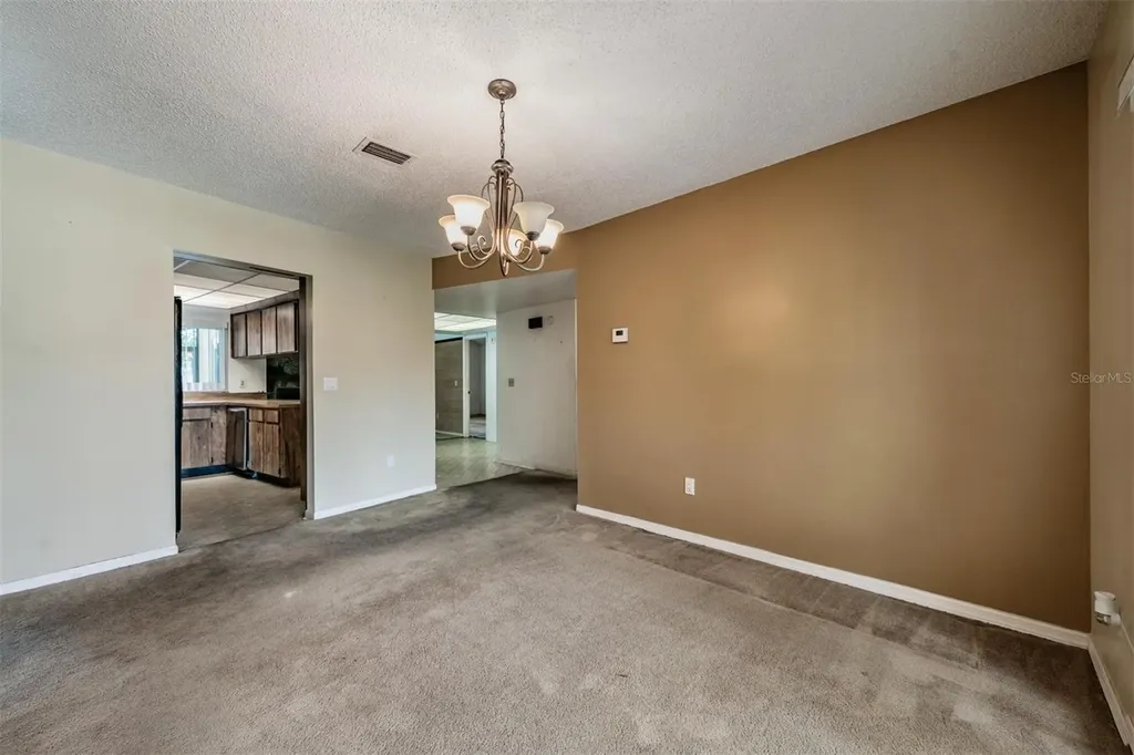 3916 Casaba Loop Valrico FL 33596