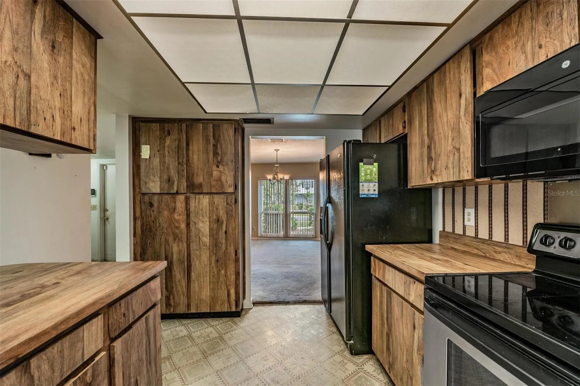 3916 Casaba Loop Valrico FL 33596