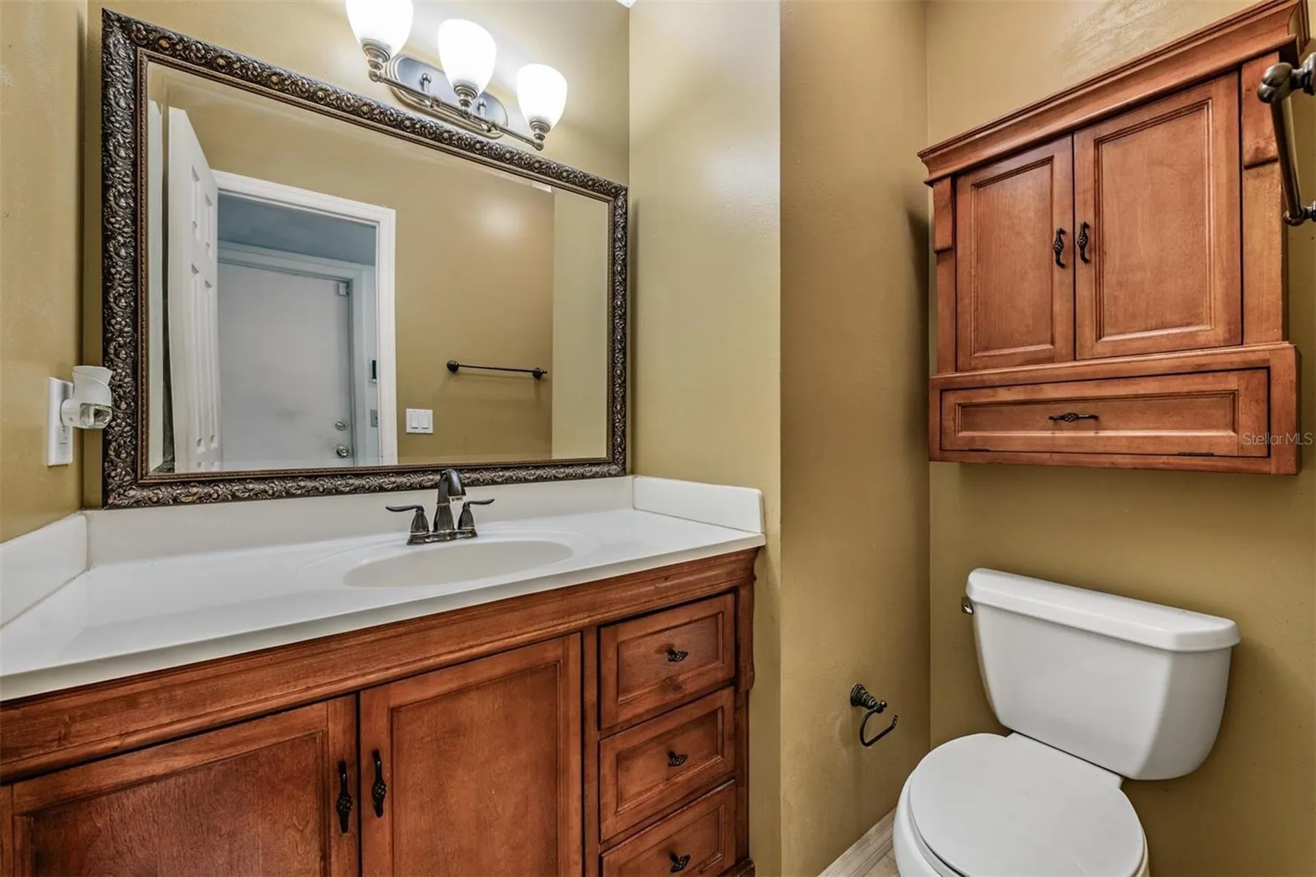 3916 Casaba Loop Valrico FL 33596