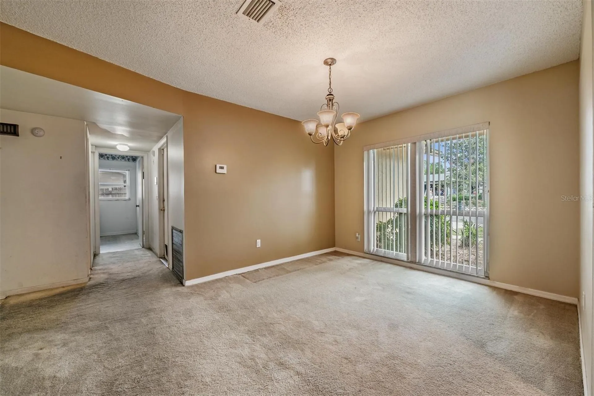 3916 Casaba Loop Valrico FL 33596