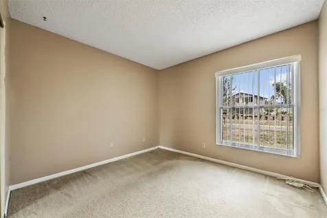 3916 Casaba Loop Valrico FL 33596