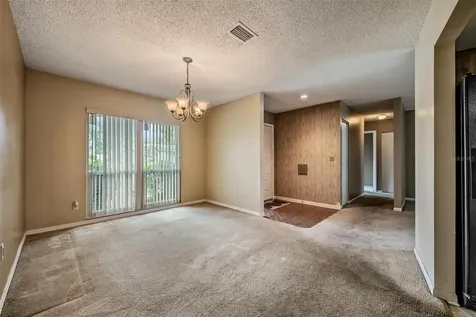 3916 Casaba Loop Valrico FL 33596