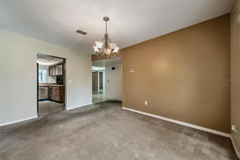 3916 Casaba Loop Valrico FL 33596