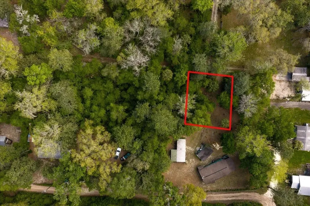 Tbd NE 189th Street Fort Mc Coy FL 32134