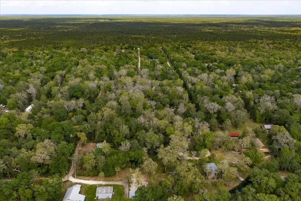 Tbd NE 189th Street Fort Mc Coy FL 32134