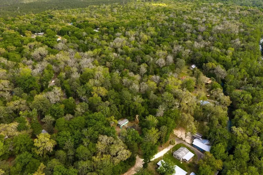 Tbd NE 189th Street Fort Mc Coy FL 32134