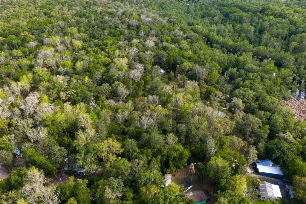 Tbd NE 189th Street Fort Mc Coy FL 32134