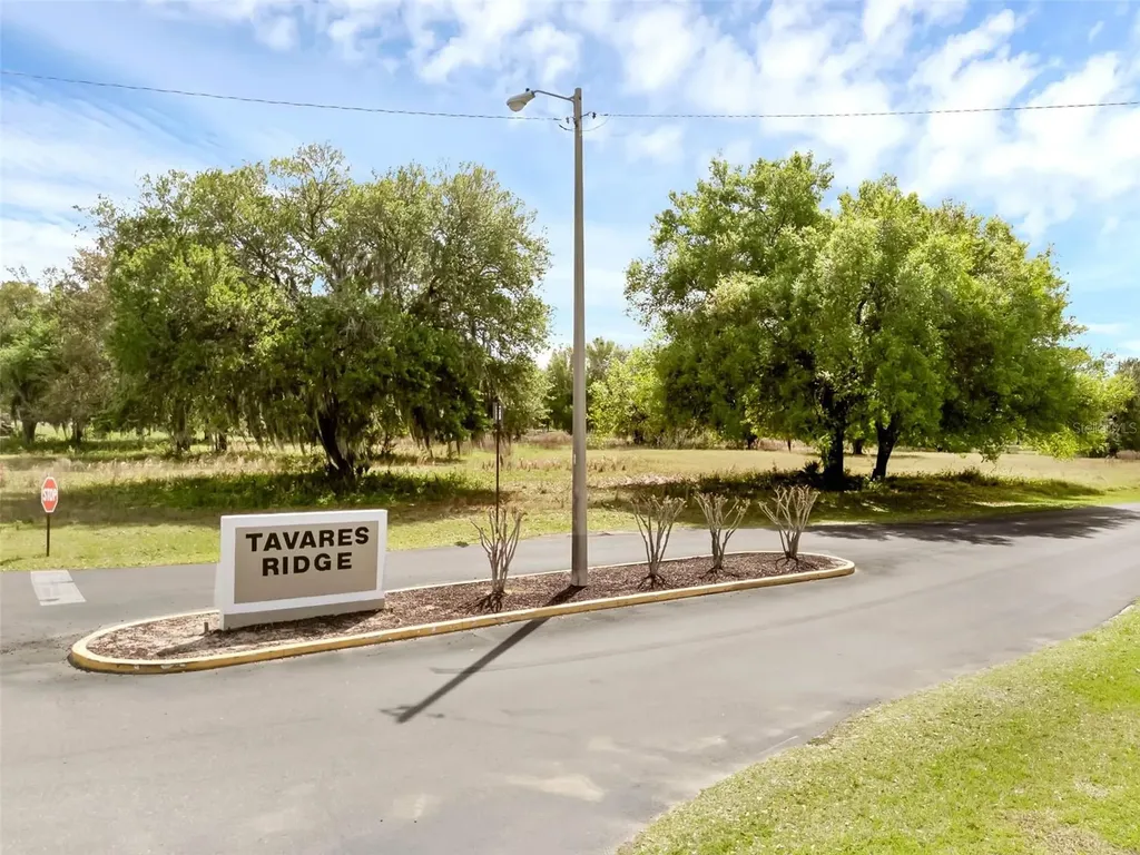 30213 Tavares Ridge Boulevard Tavares FL 32778