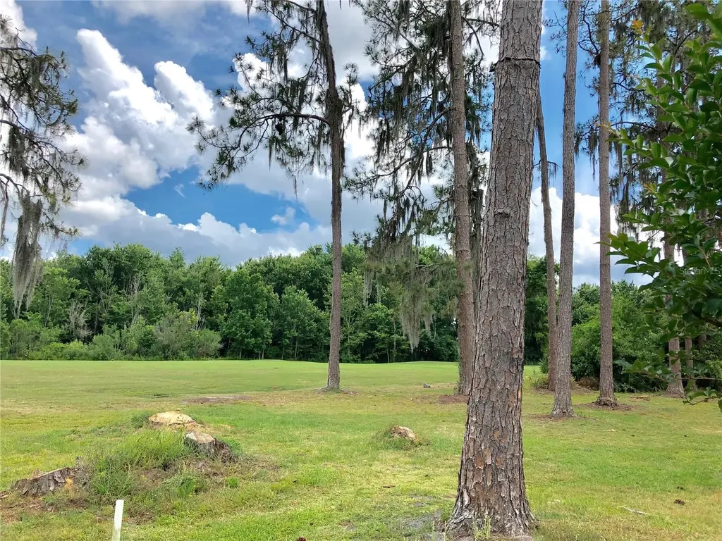 5804 Autumn Shire Drive Zephyrhills FL 33541