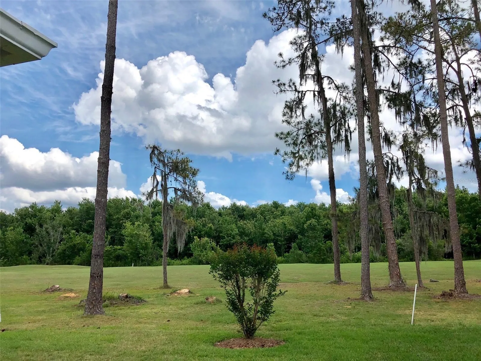 5804 Autumn Shire Drive Zephyrhills FL 33541
