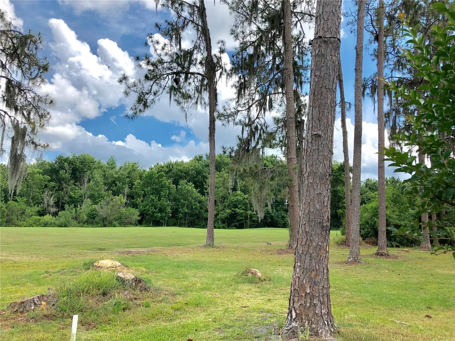 5804 Autumn Shire Drive Zephyrhills FL 33541