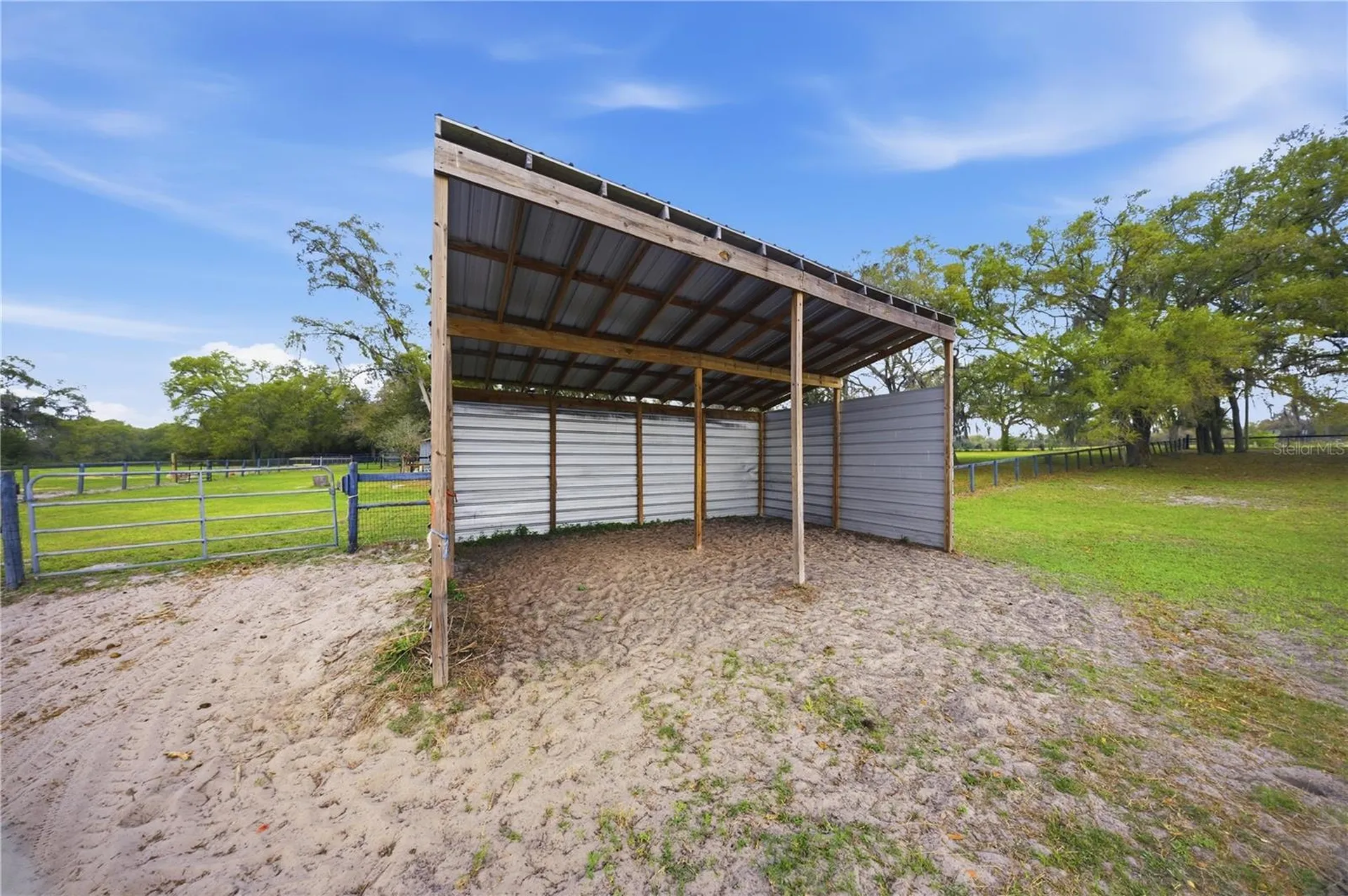 18850 SE 12th Lane Williston FL 32696