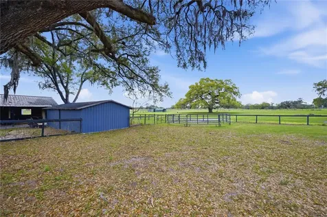 18850 SE 12th Lane Williston FL 32696