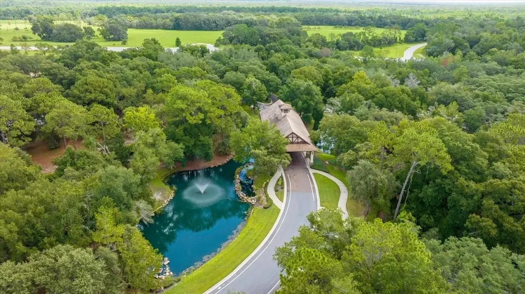 32519 Hawks Lake Lane Sorrento FL 32776