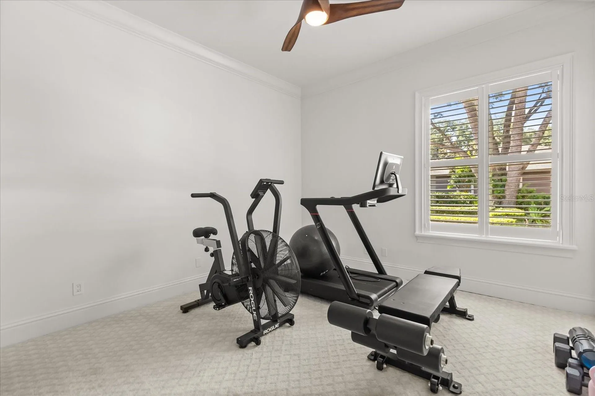 32519 Hawks Lake Lane Sorrento FL 32776